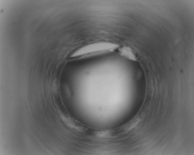 X0000066080088200603311946