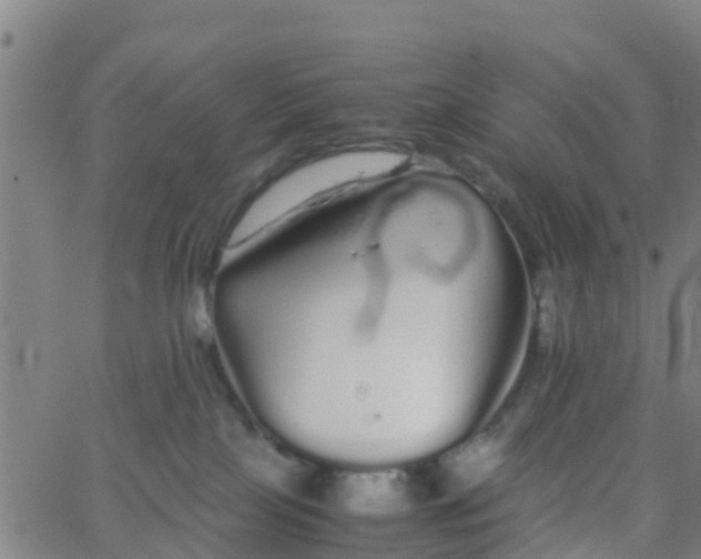 X0000066080089200603311946