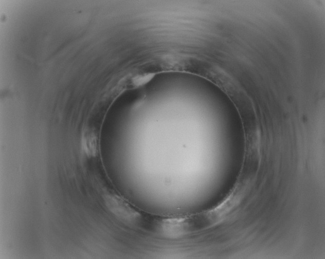 X0000066080090200603311946