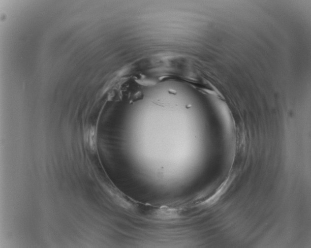 X0000066080094200603311946