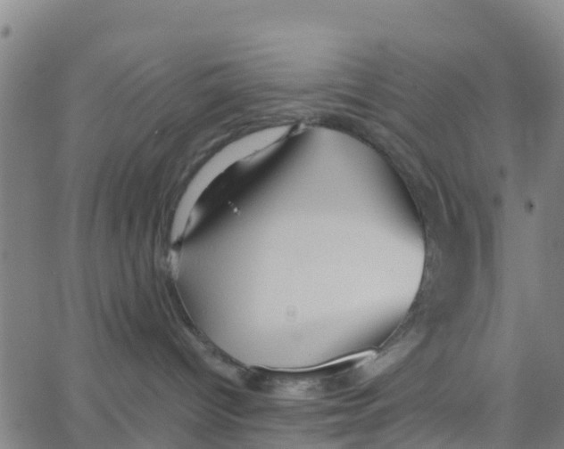 X0000066080096200603311946