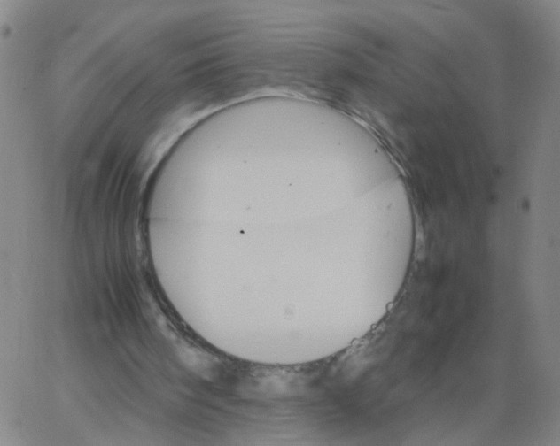 X0000066080098200603311945