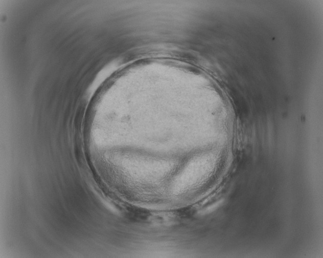 X0000066080099200603311945