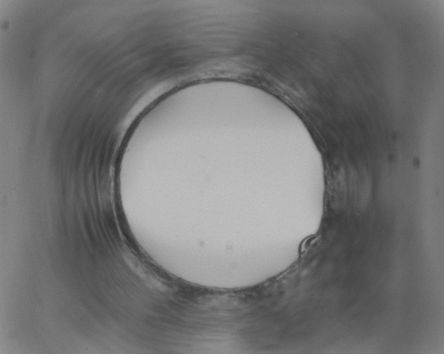 X0000066080100200603311945