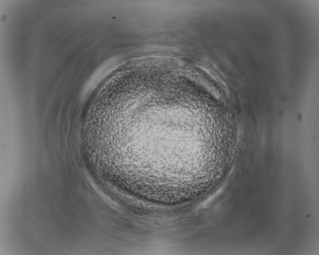 X0000066080101200603311945