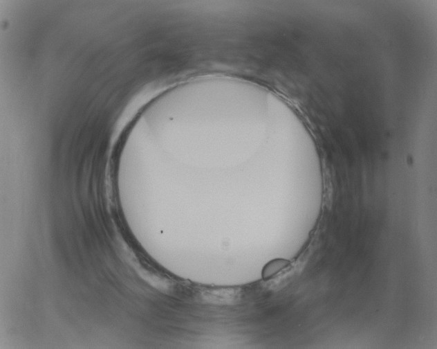 X0000066080102200603311945