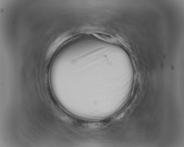 X0000066080103200603311945