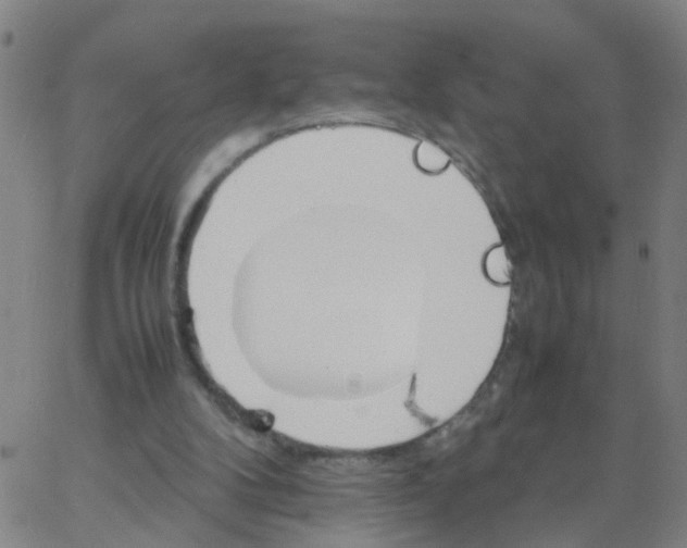 X0000066080104200603311945