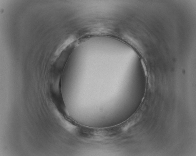 X0000066080105200603311945