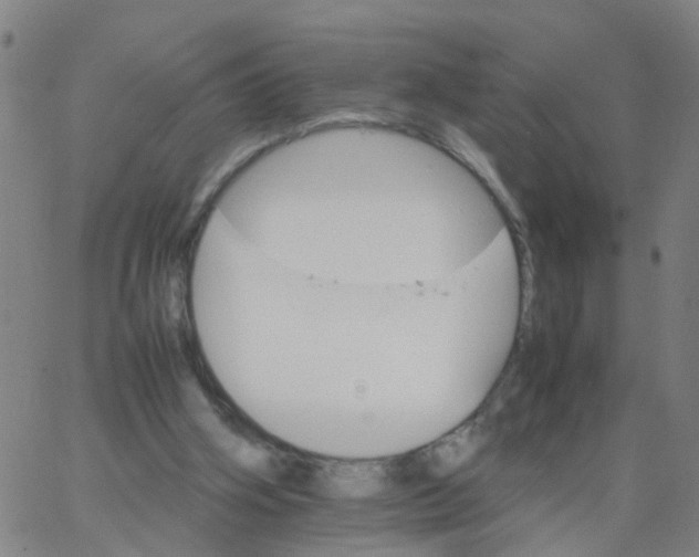 X0000066080106200603311945