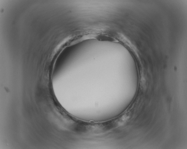 X0000066080107200603311945