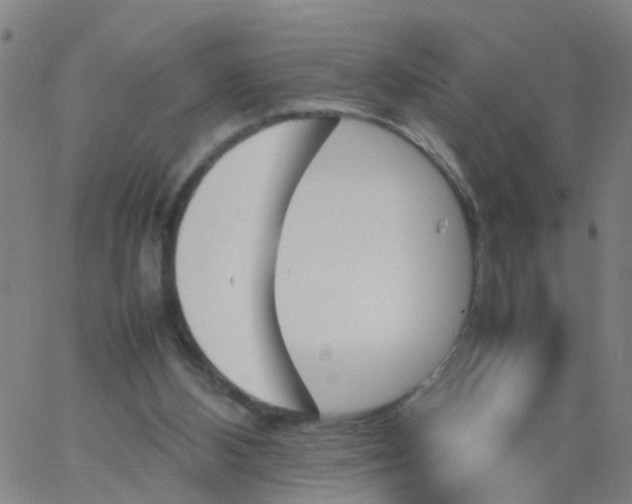 X0000066080108200603311945