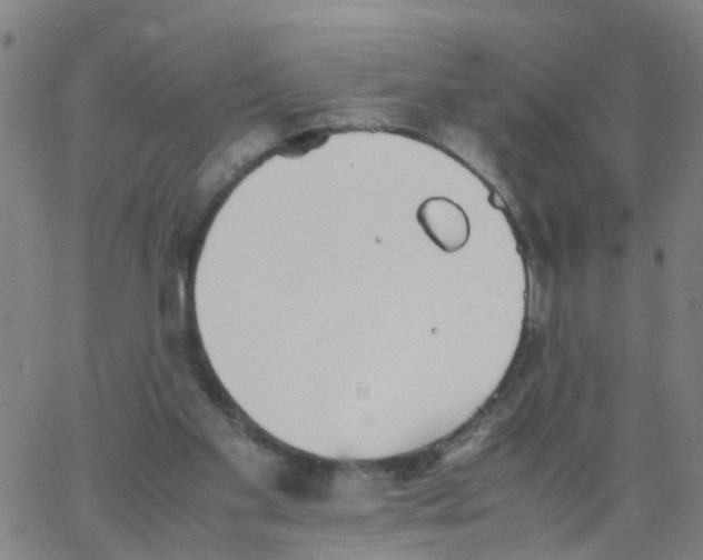 X0000066080109200603311945