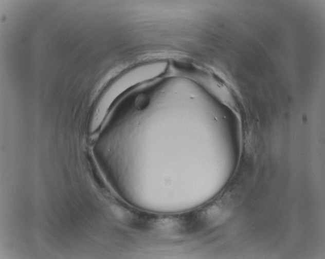 X0000066080111200603311945