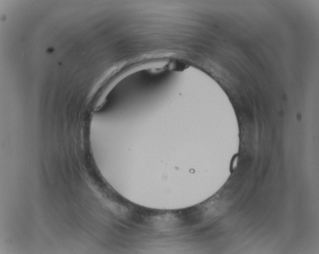 X0000066080112200603311945