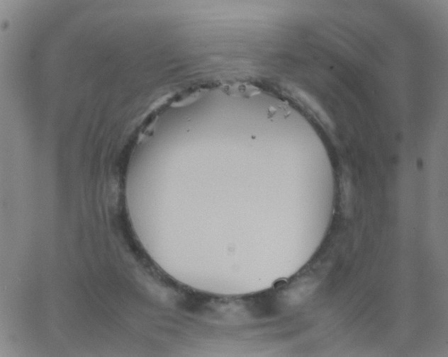 X0000066080113200603311945