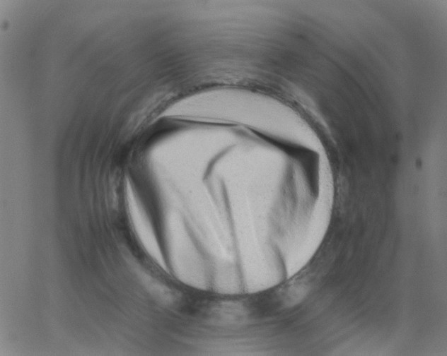 X0000066080114200603311945