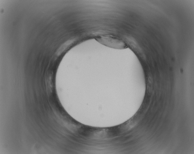 X0000066080116200603311945