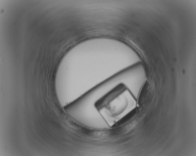 X0000066080117200603311945