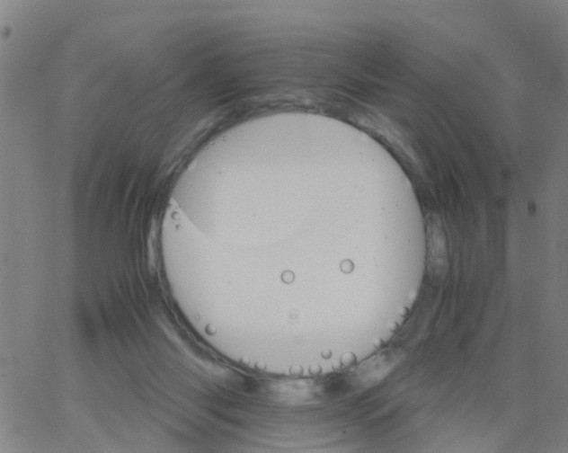 X0000066080118200603311945