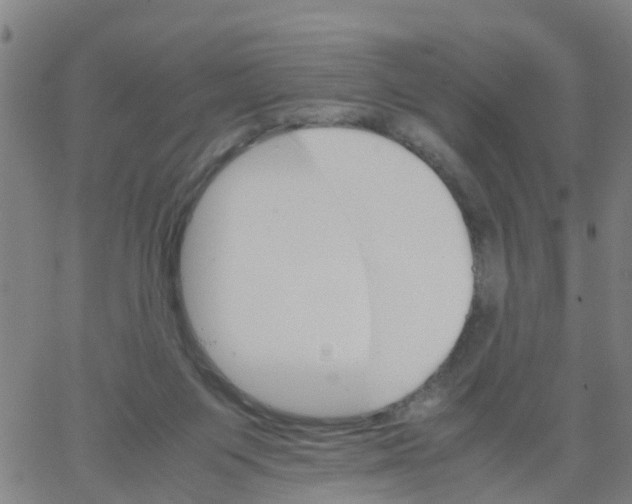 X0000066080119200603311945