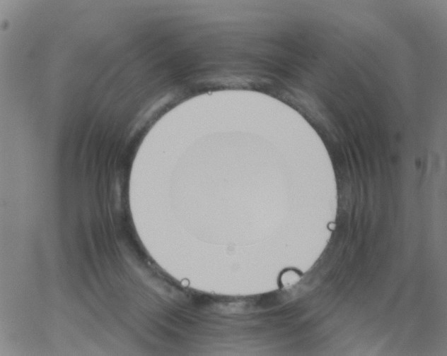 X0000066080120200603311945