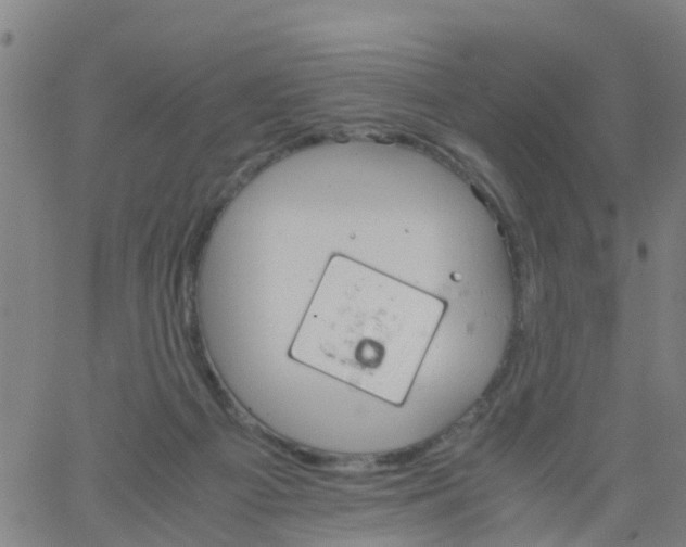 X0000066080121200603311945