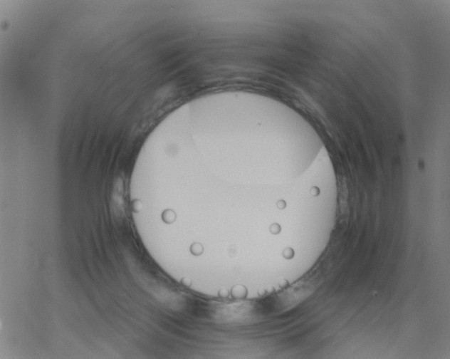 X0000066080122200603311945