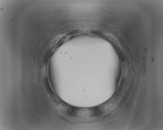 X0000066080123200603311945