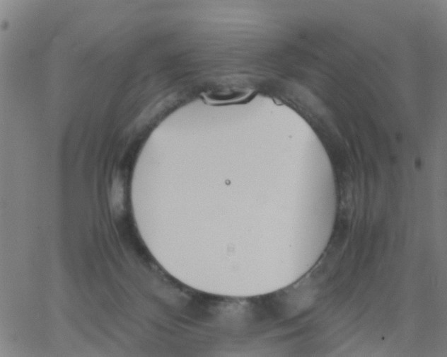 X0000066080124200603311945