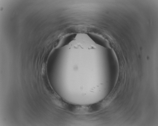 X0000066080125200603311945