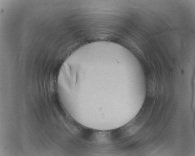 X0000066080126200603311945