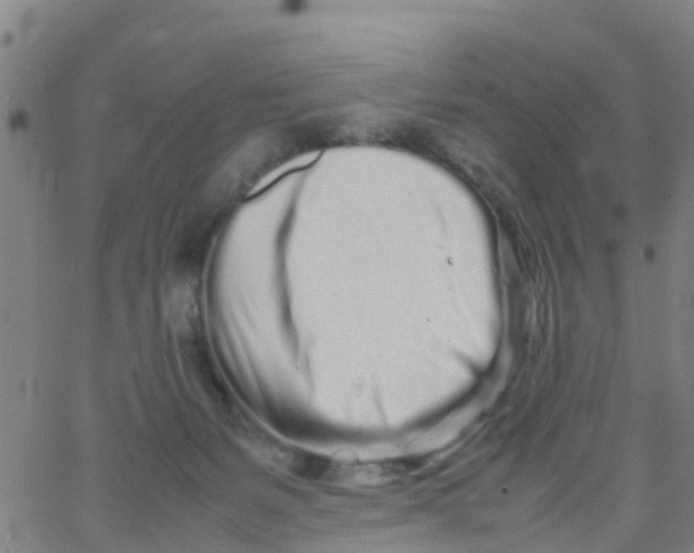 X0000066080127200603311945