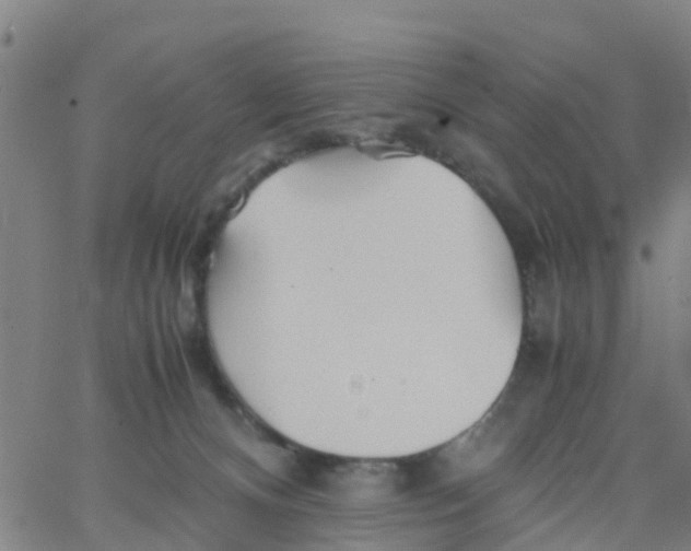 X0000066080128200603311945