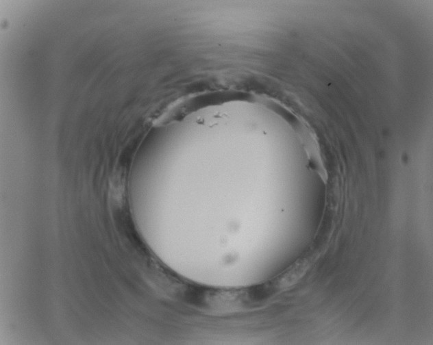 X0000066080129200603311945