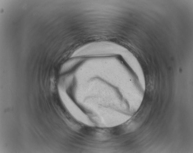 X0000066080130200603311945