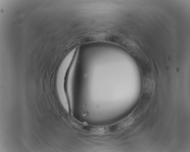 X0000066080131200603311945