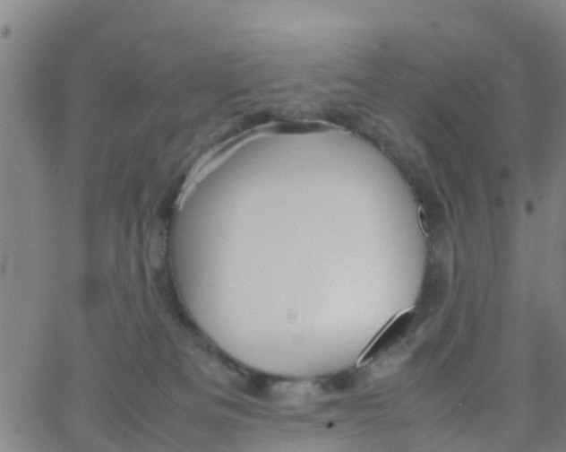 X0000066080133200603311945