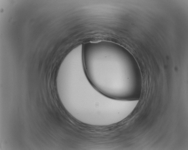 X0000066080137200603311944