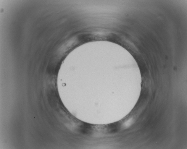 X0000066080141200603311944