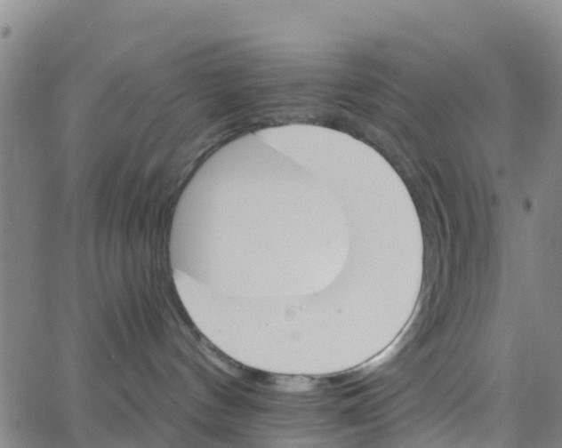 X0000066080144200603311944