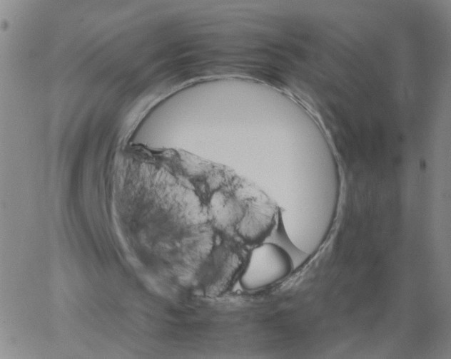 X0000066080145200603311944