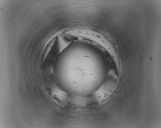 X0000066080146200603311944