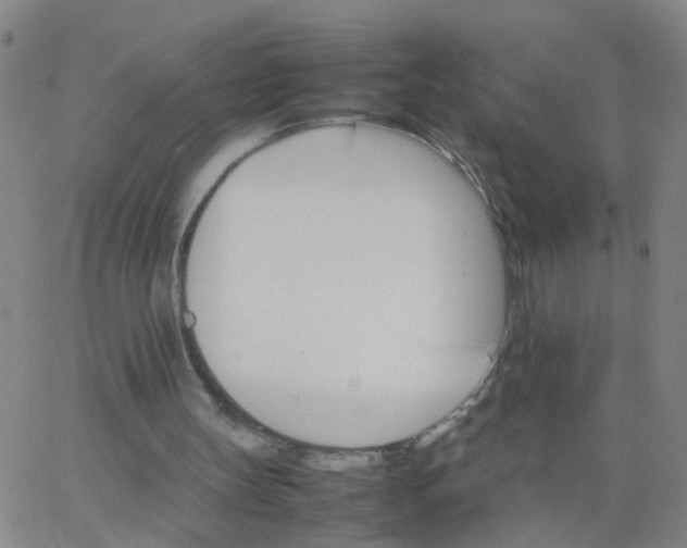 X0000066080147200603311944