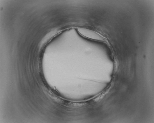 X0000066080149200603311944