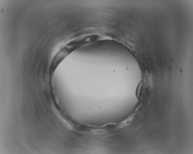 X0000066080150200603311944