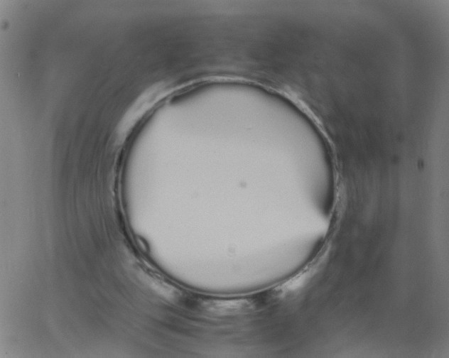 X0000066080151200603311944