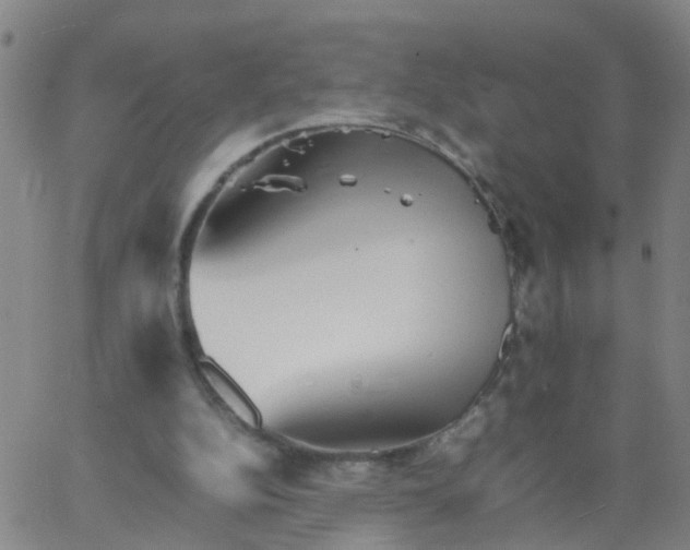 X0000066080152200603311944