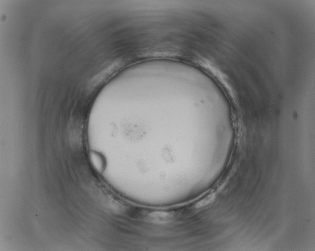 X0000066080153200603311944