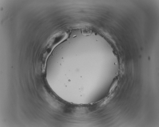 X0000066080154200603311944